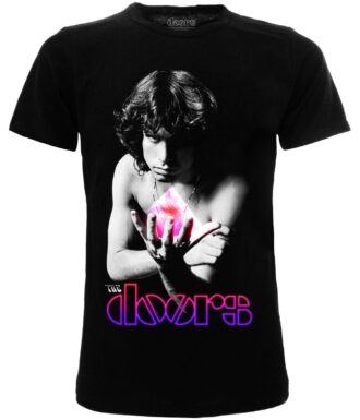 The Doors Jim Morrison