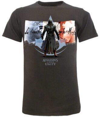 Assassin's Creed Unity Grigio
