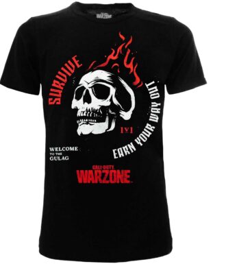 Call Of Duty Warzone Survive