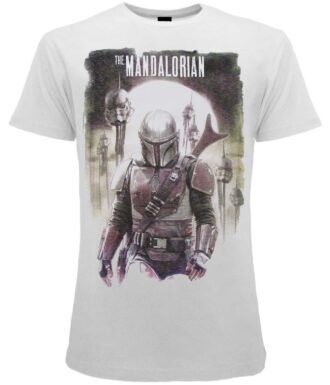 Star Wars The Mandalorian