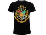 Harry Potter Casate