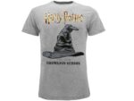 Harry Potter Cappello Parlante