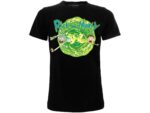 Rick And Morty Portale